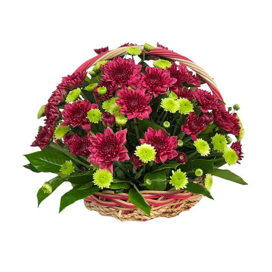 Merry Fantasy Basket Arrangement: Jaguar Flower and Green Button Fillers