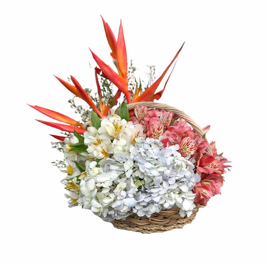 Cloud Fantasy Basket Arrangement: Alstroemeria, Hydrangea, and Aster Fillers