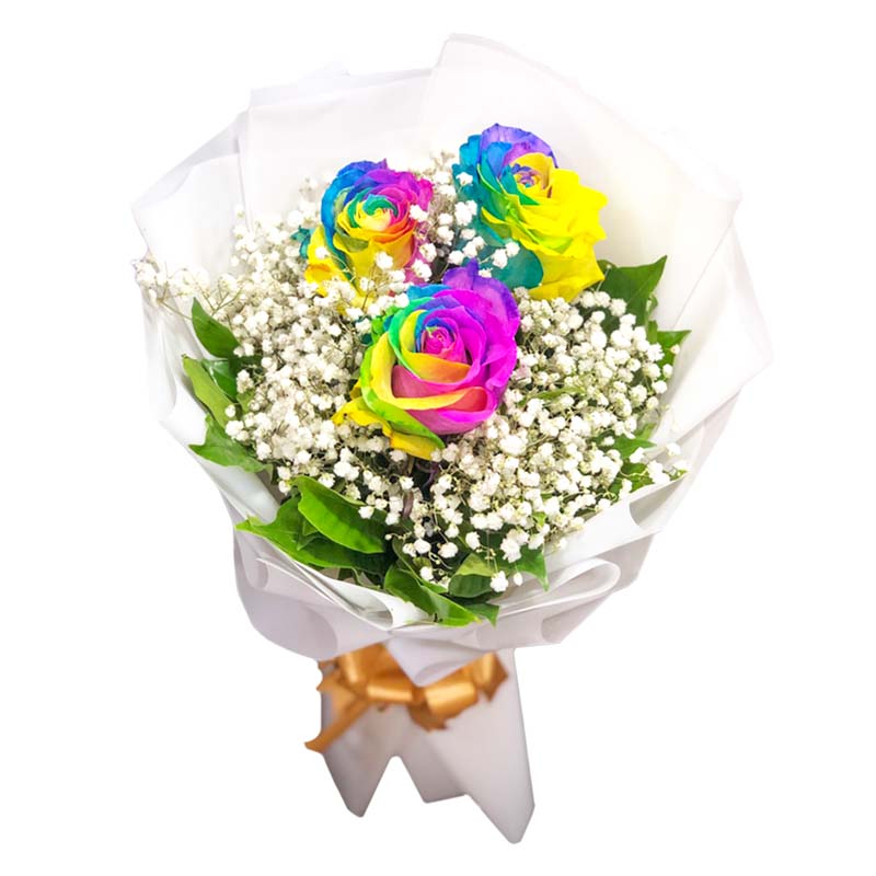 Three rainbow Ecuadorian roses with gypsophila fillers in Korean-style packaging with satin ribbon - vibrant flower arrangement for special occasions - flower delivery in Balagtas, Bulacan