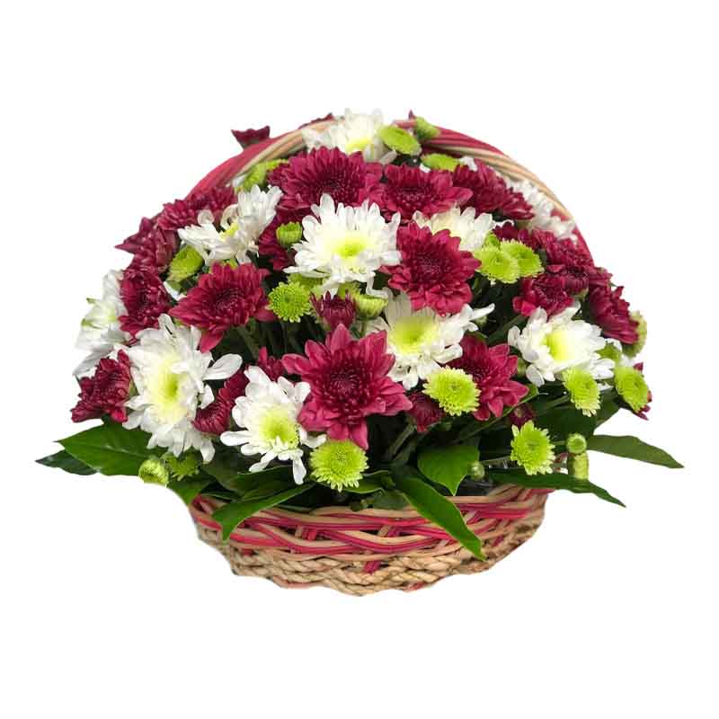 Willed Fantasy Basket Arrangement: Jaguar Flowers, White Radus, and Green Button