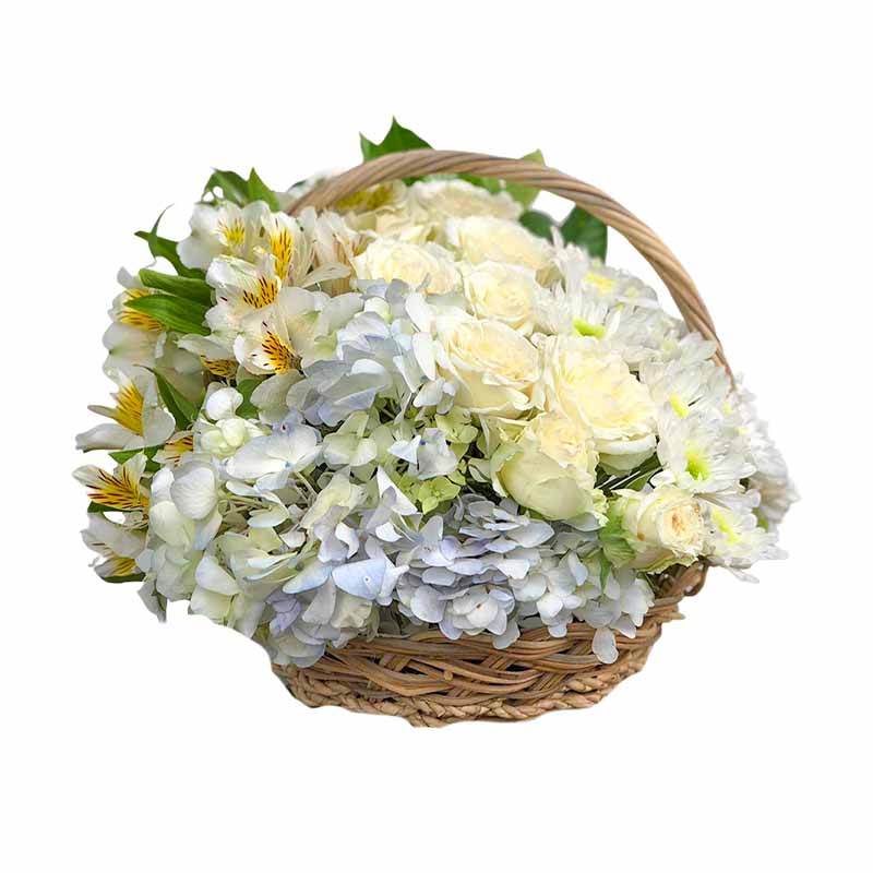 Predestined Fantasy Basket Arrangement: Alstroemeria, Hydrangea, White Rose, and White Radus