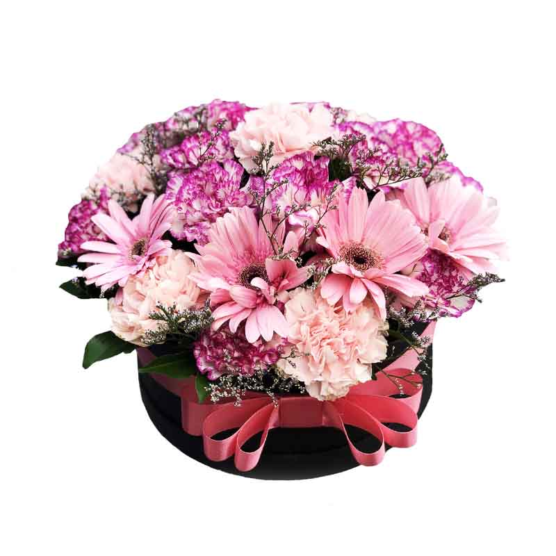 Charming box filled with two-tone violet and light pink carnations, complemented by pink gerberas and misty blue fillers. Delightful and colorful floral arrangement. Flower delivery near Intramuros, Greenbelt, Tagaytay Picnic Grove, and Antipolo Cathedral.