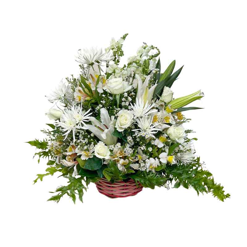 Fit Fantasy Basket Arrangement: White Chrysanthemum, Stargazer, White Rose, Alstroemeria, Snap Dragon, and Green Fillers