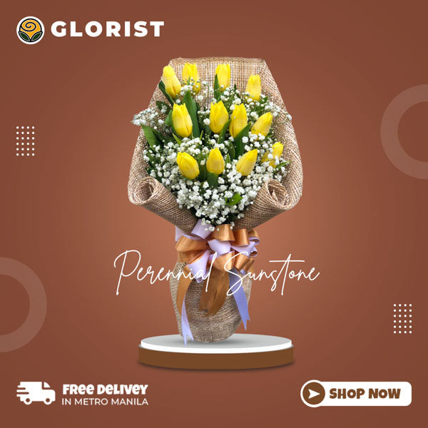 Graceful bouquet: 12 yellow tulips with gypsophila fillers in Korean wrap with satin ribbon - beautiful flower arrangement for special occasions - flower delivery to Barangay San Antonio, Quezon City and Barangay Ayala Alabang, Muntinlupa City