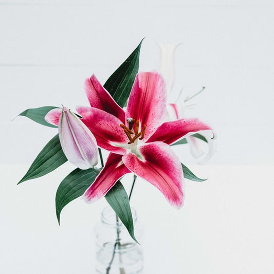 Stargazer flower bouquet